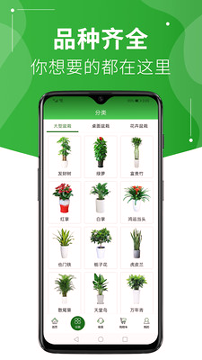 绿植到家_截图2