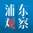 浦东观察下载_浦东观察安卓版下载