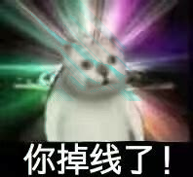 猫影视