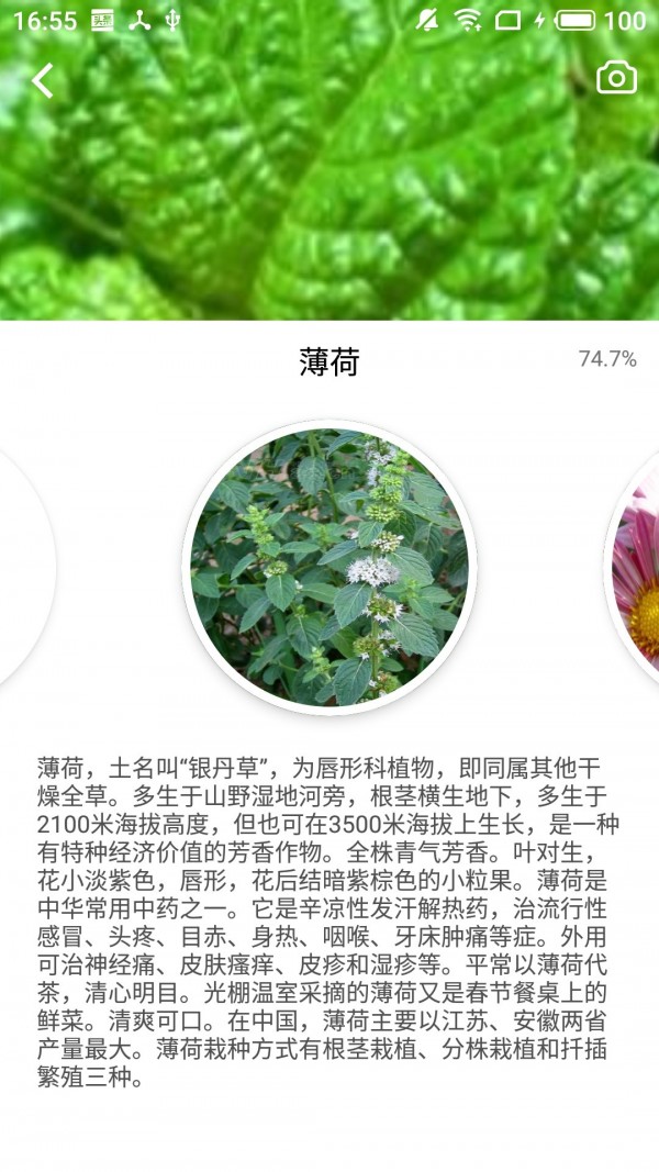 森林百科_截图3