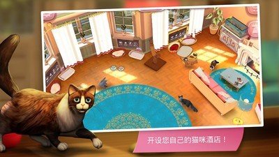 猫舍特别版