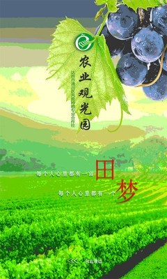 农业观光