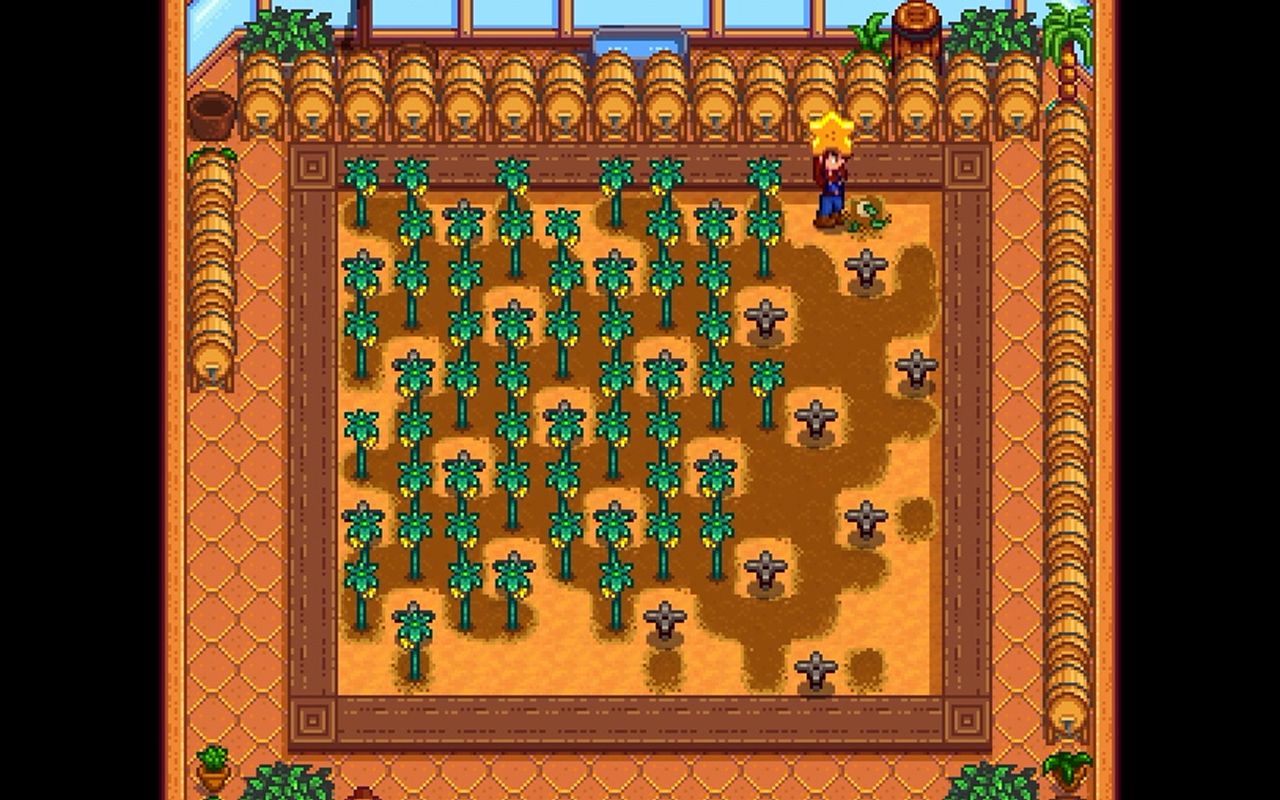 星露谷物语爆米花剧情怎么选