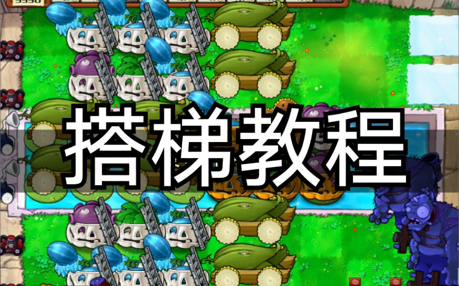 植物大战僵尸全面冻结8卡槽攻略