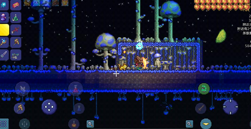 泰拉瑞亚动物学家的猫如何提高研究效率