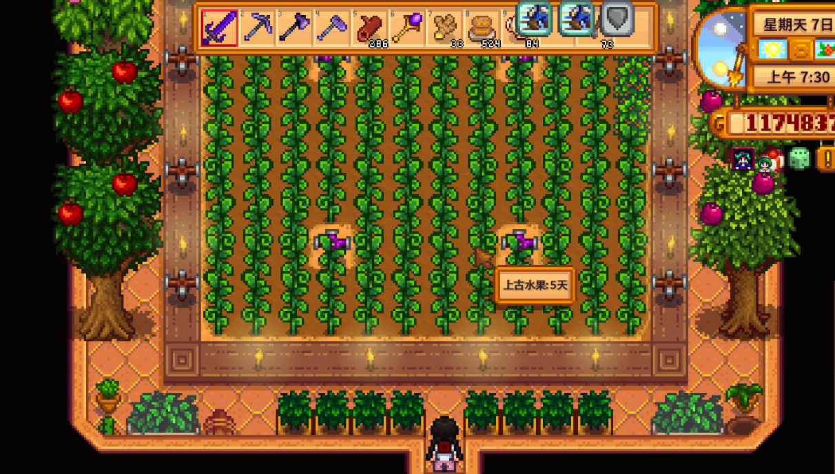 星露谷物语冬天做什么可以获得最高收益