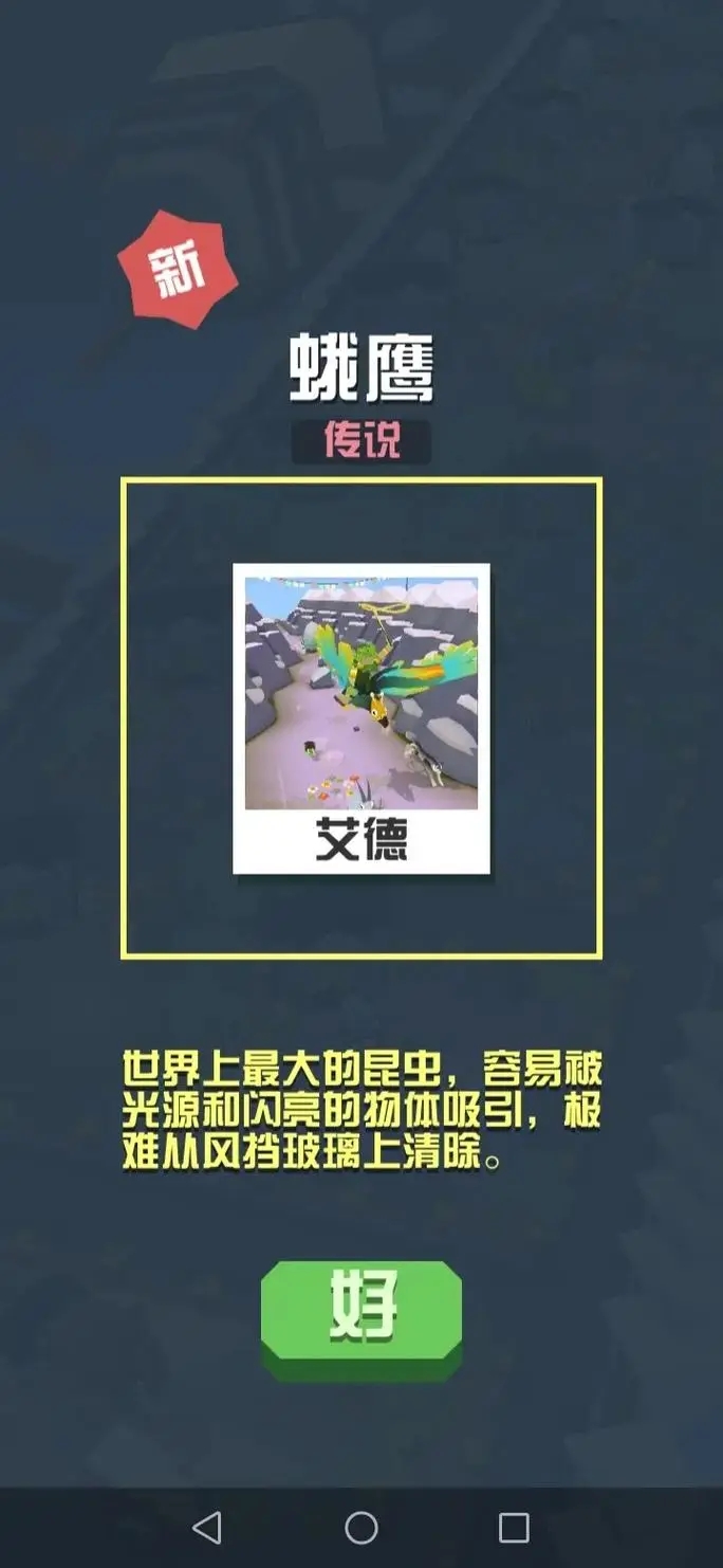疯狂动物园的三头鸟能不能被抓住