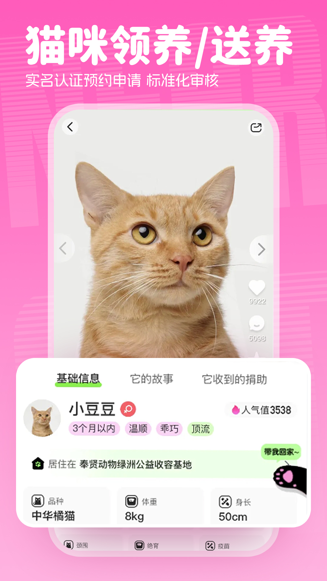 附近有喵_截图5