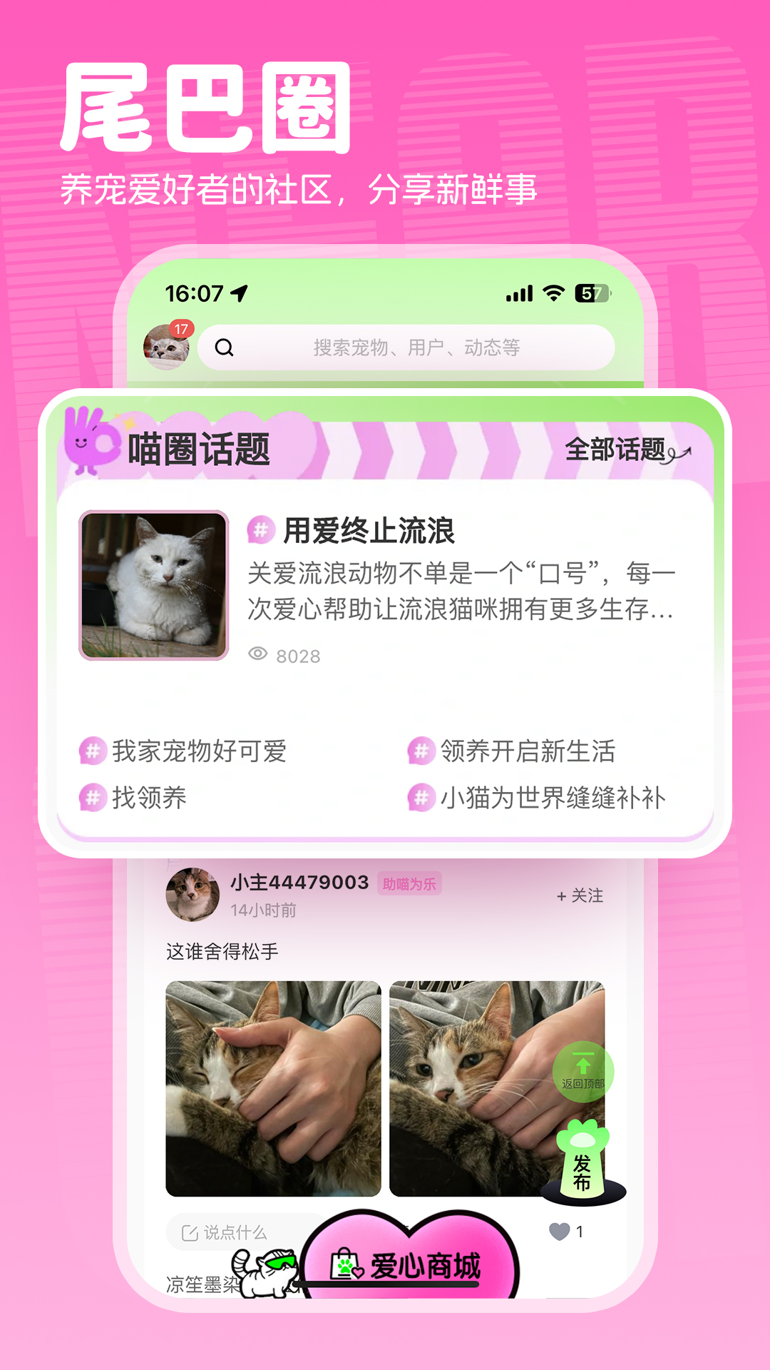 附近有喵_截图4