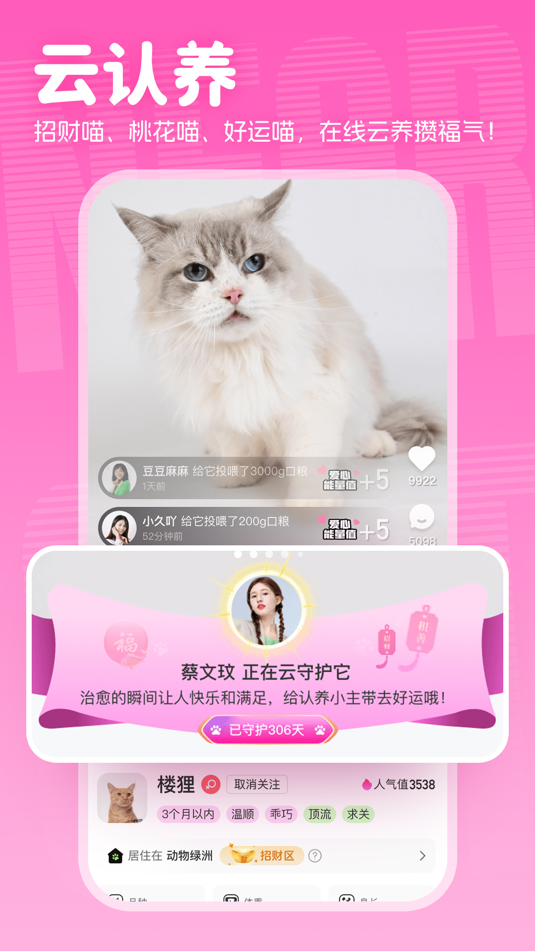 附近有喵_截图1