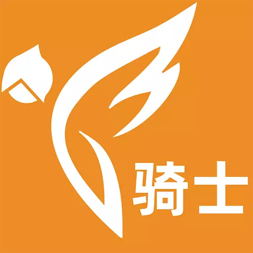 飞人骑士