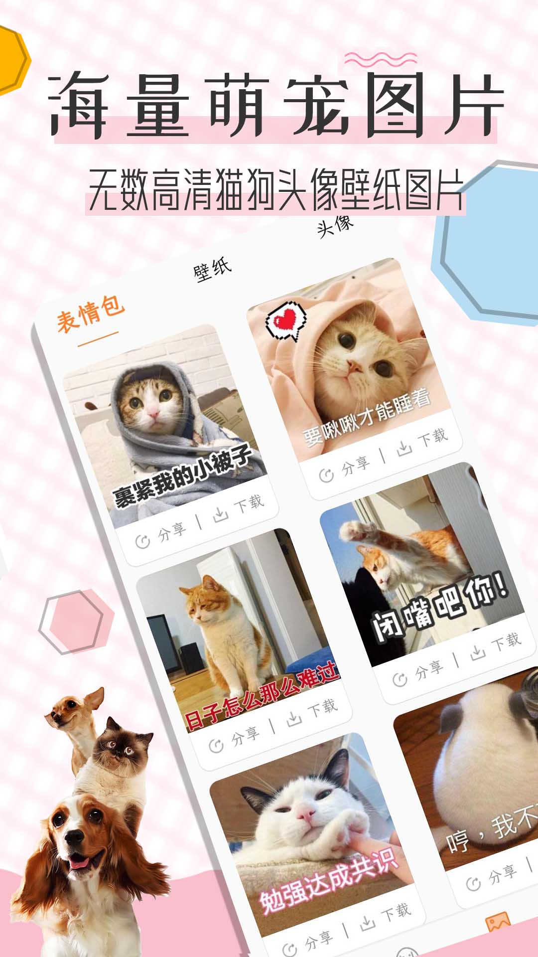 猫语翻译宝_截图3