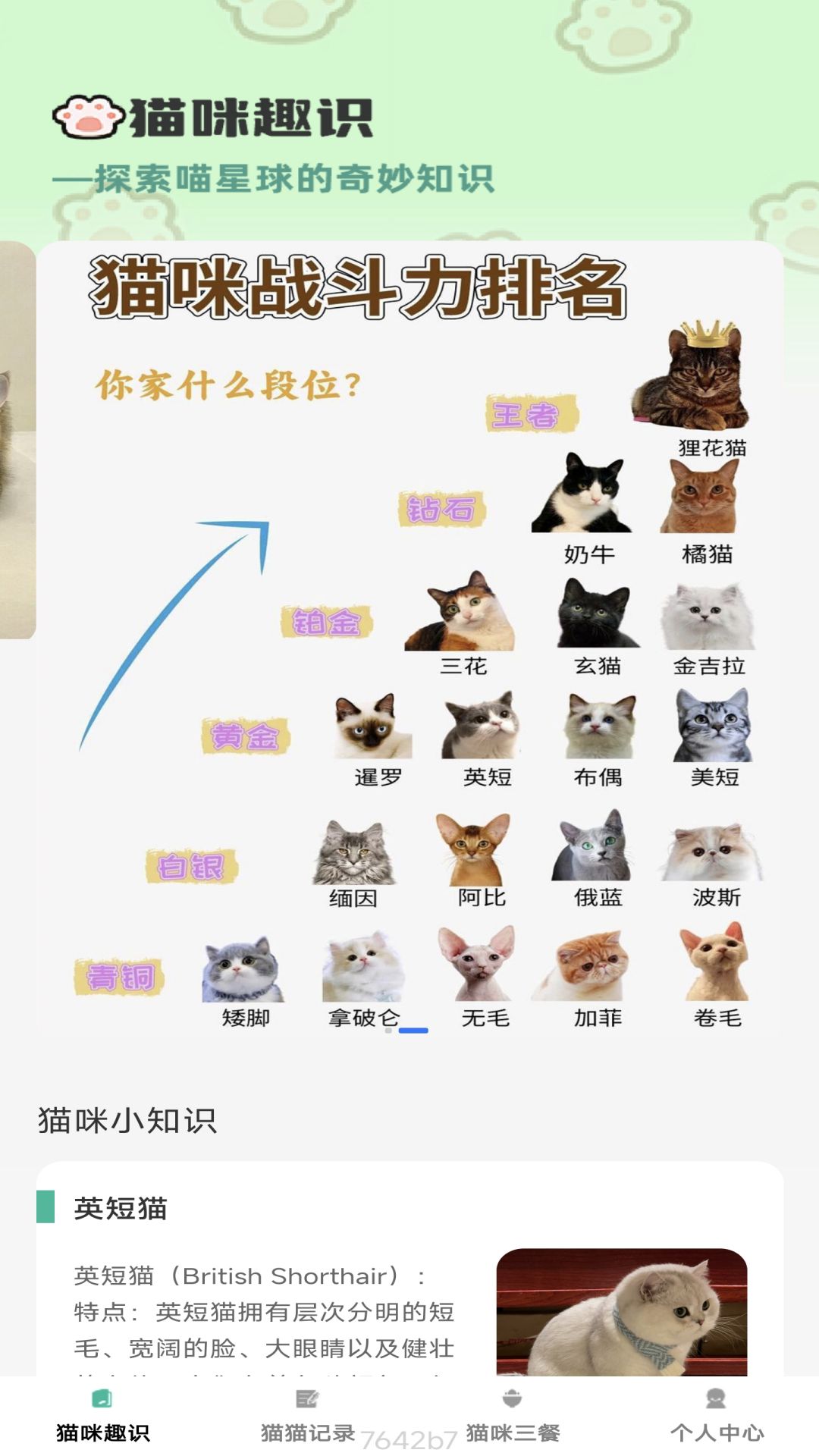 猫咪趣看_截图1