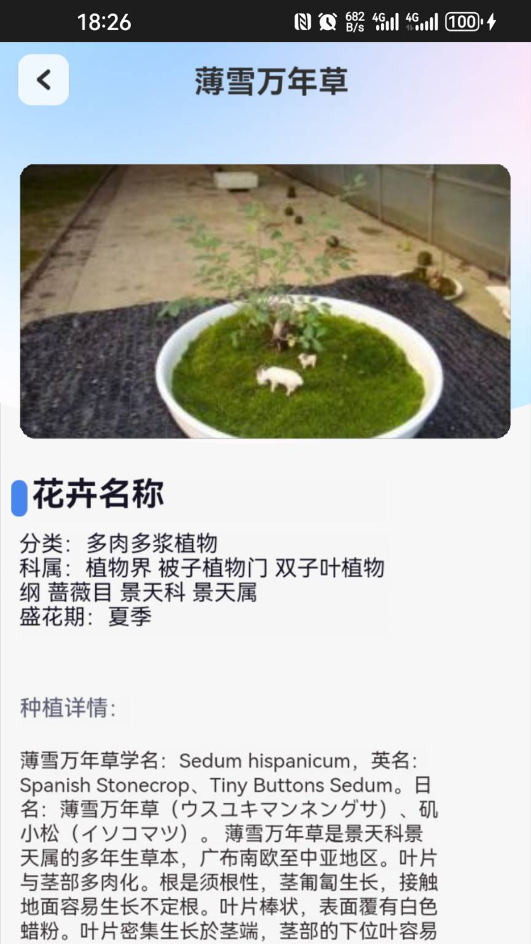 点点花园_截图4