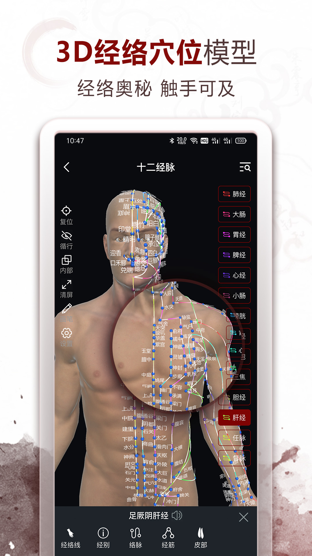 中医经络穴位_截图1