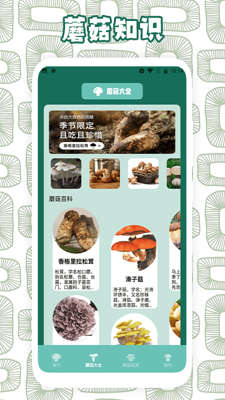 蘑菇识别_截图2