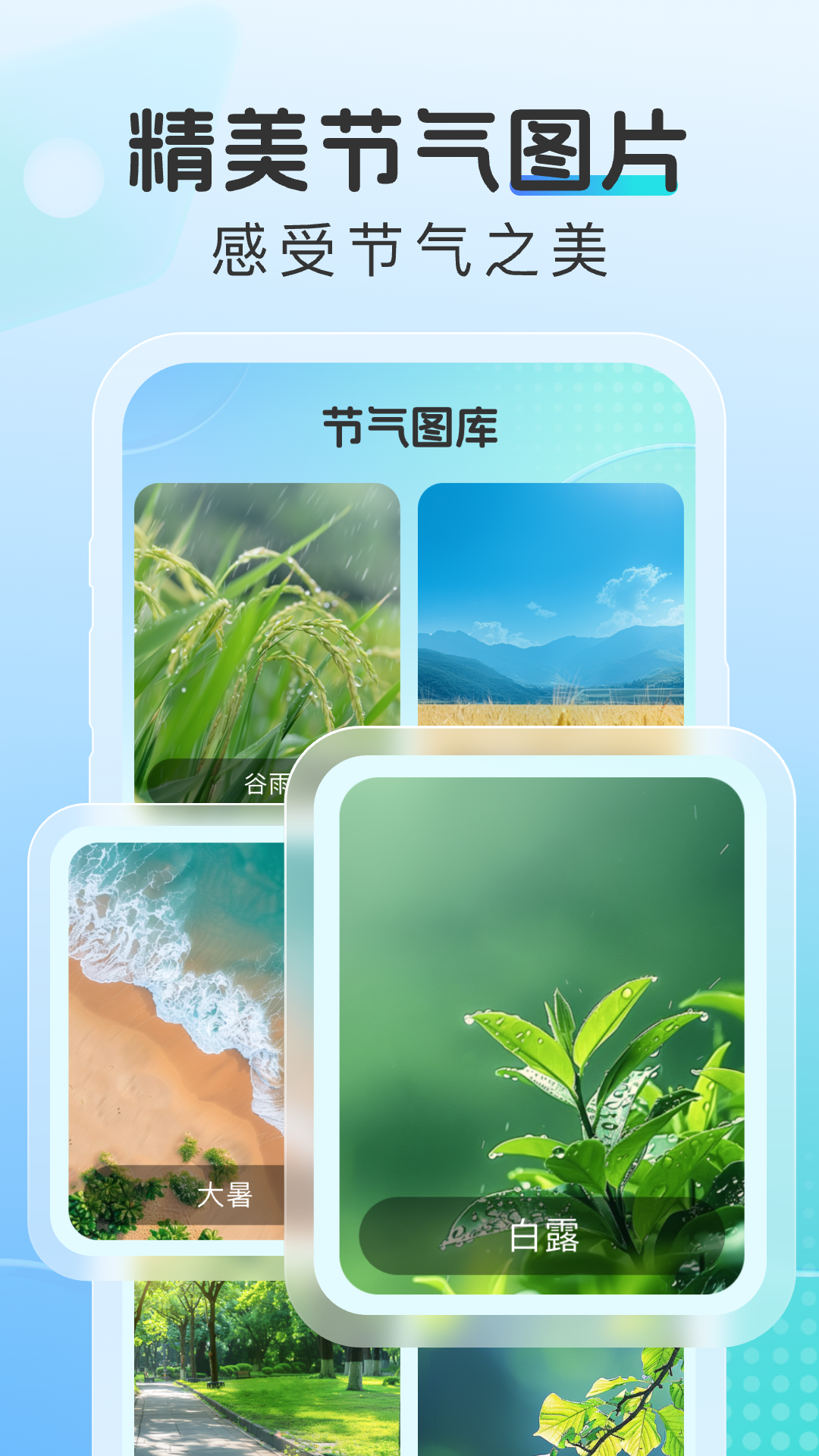 晴云指南_截图2
