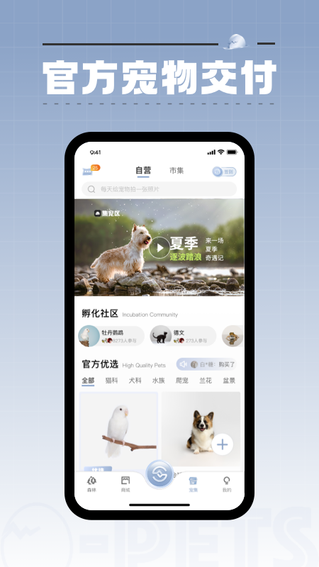 集宠区