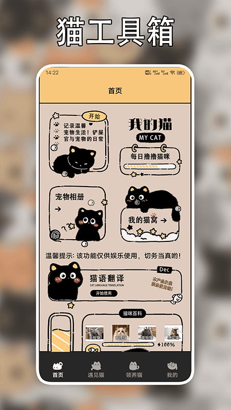 遇见我的猫翻译_截图1