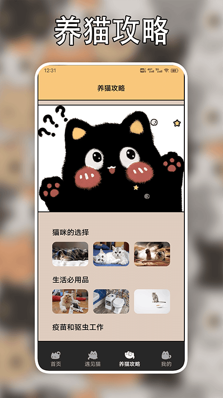 遇见我的猫翻译_截图3