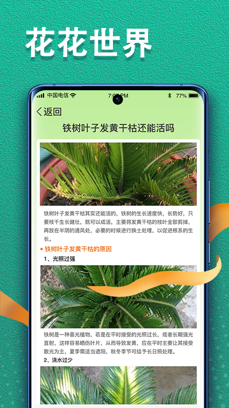 植物视界_截图3