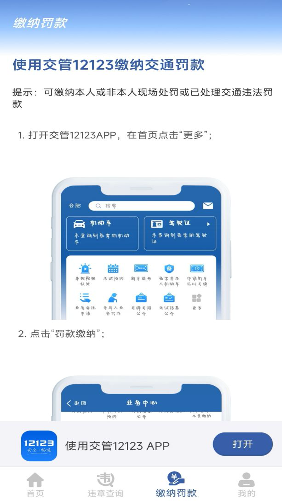 车管违章查询_截图3