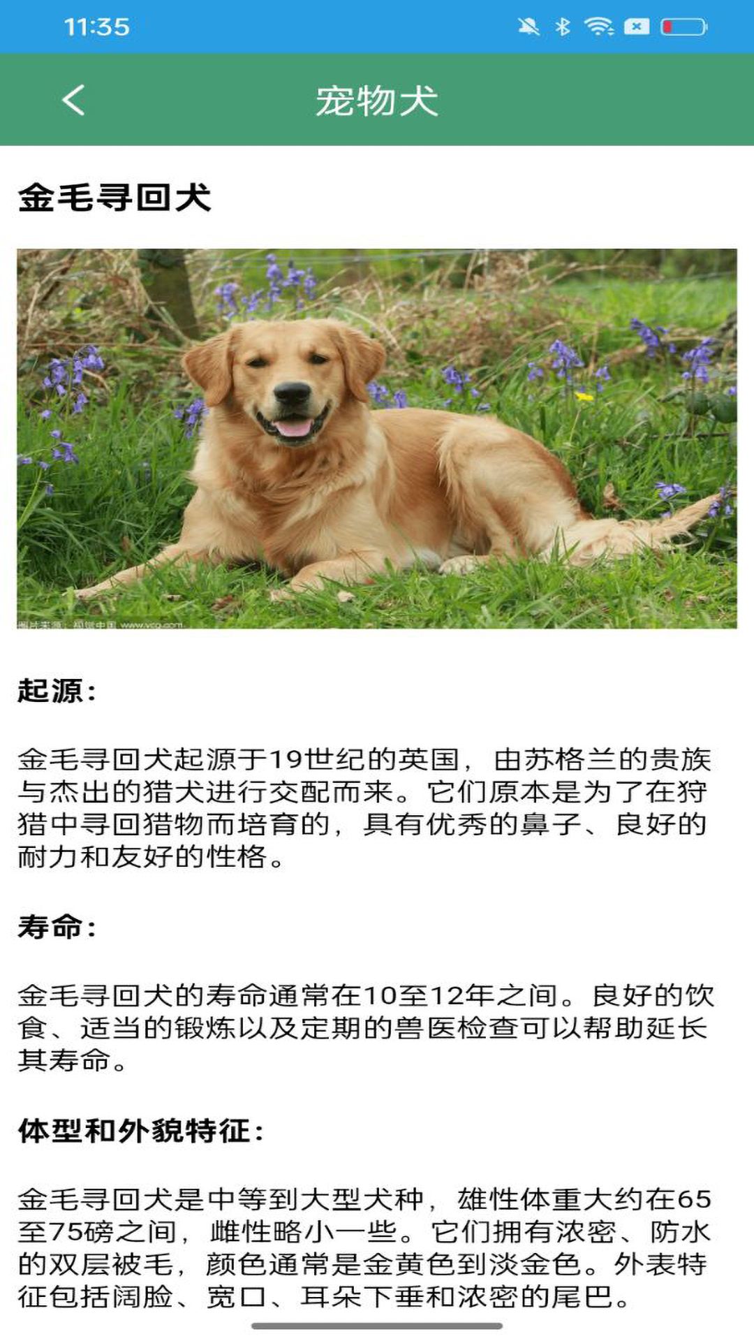 二狗大全