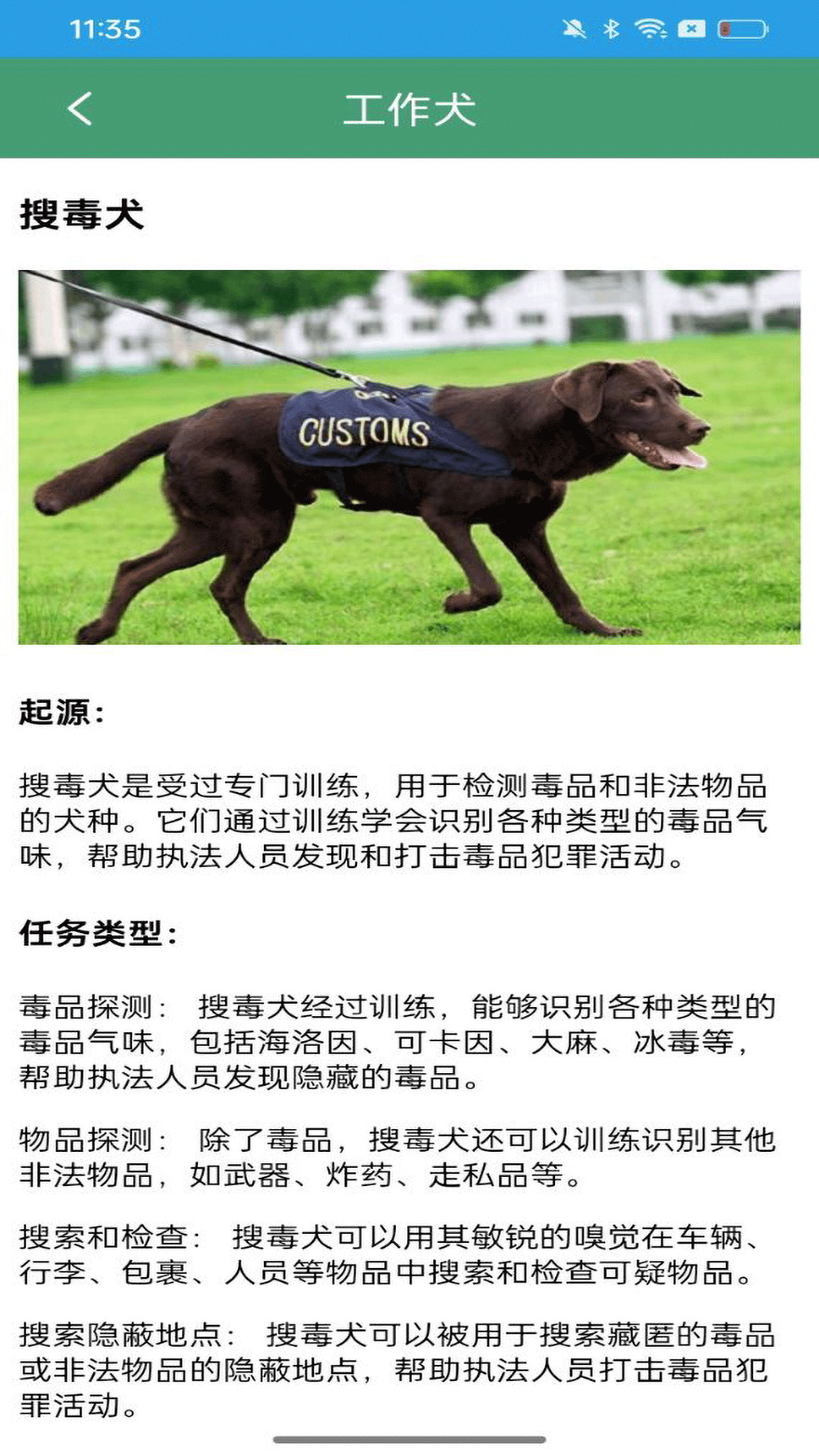 二狗大全