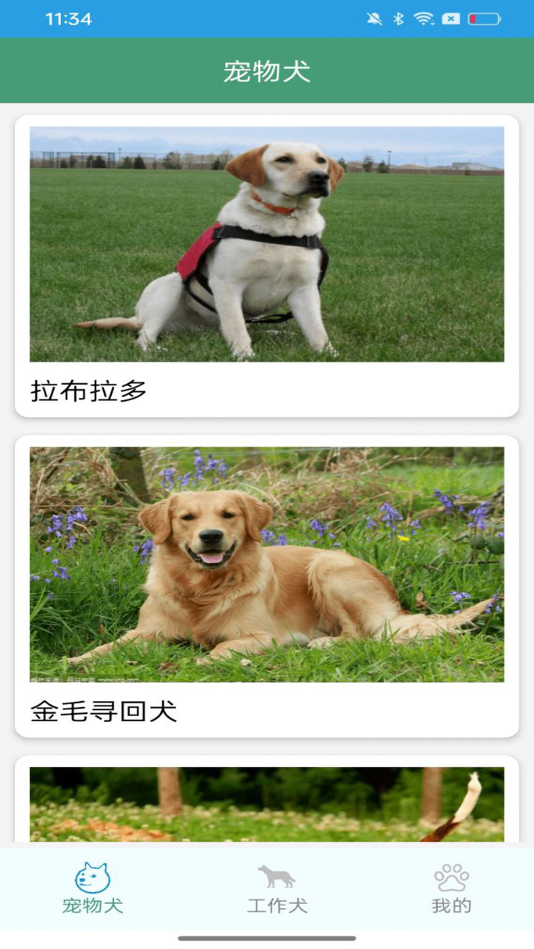 二狗大全