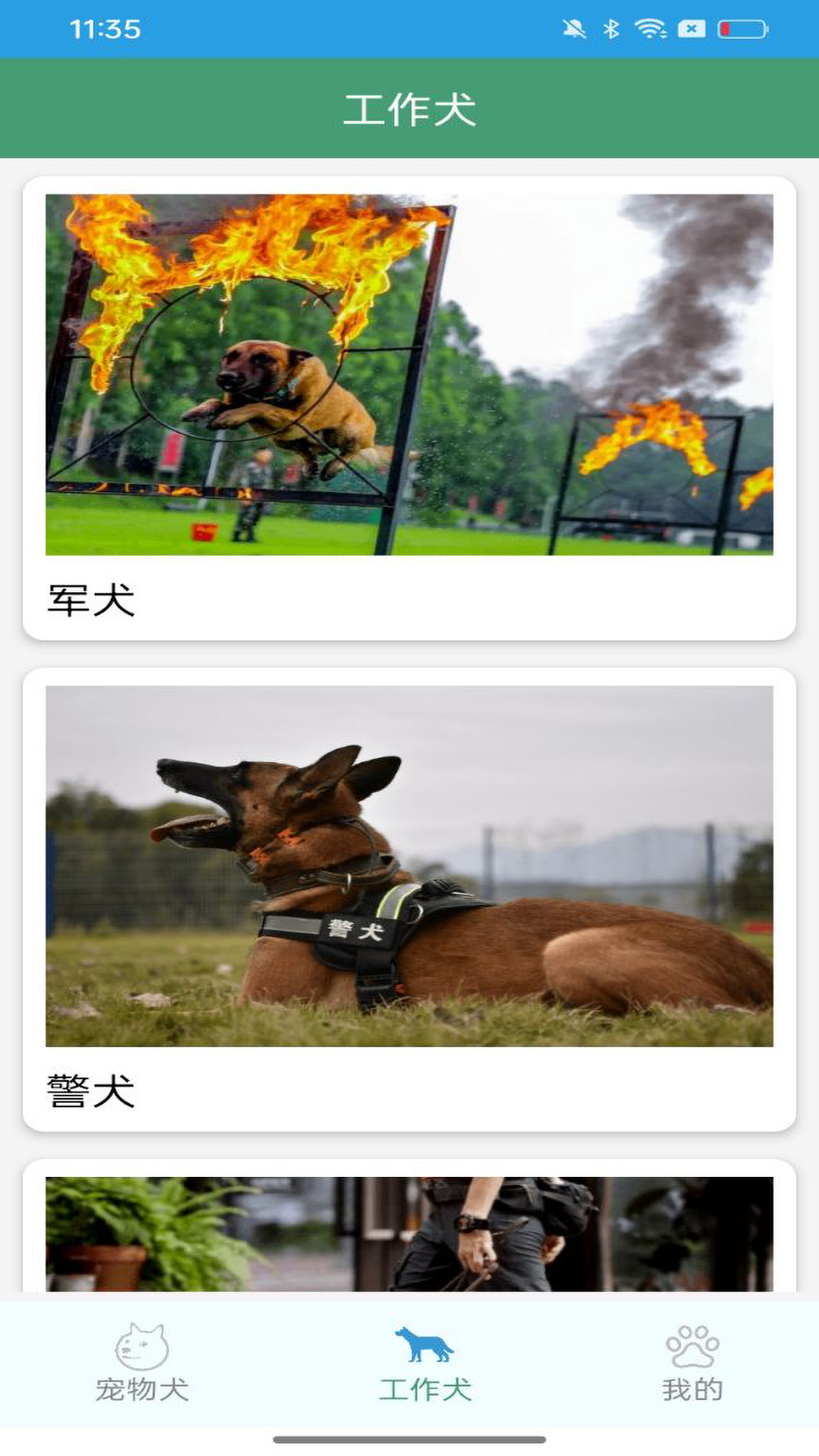 二狗大全