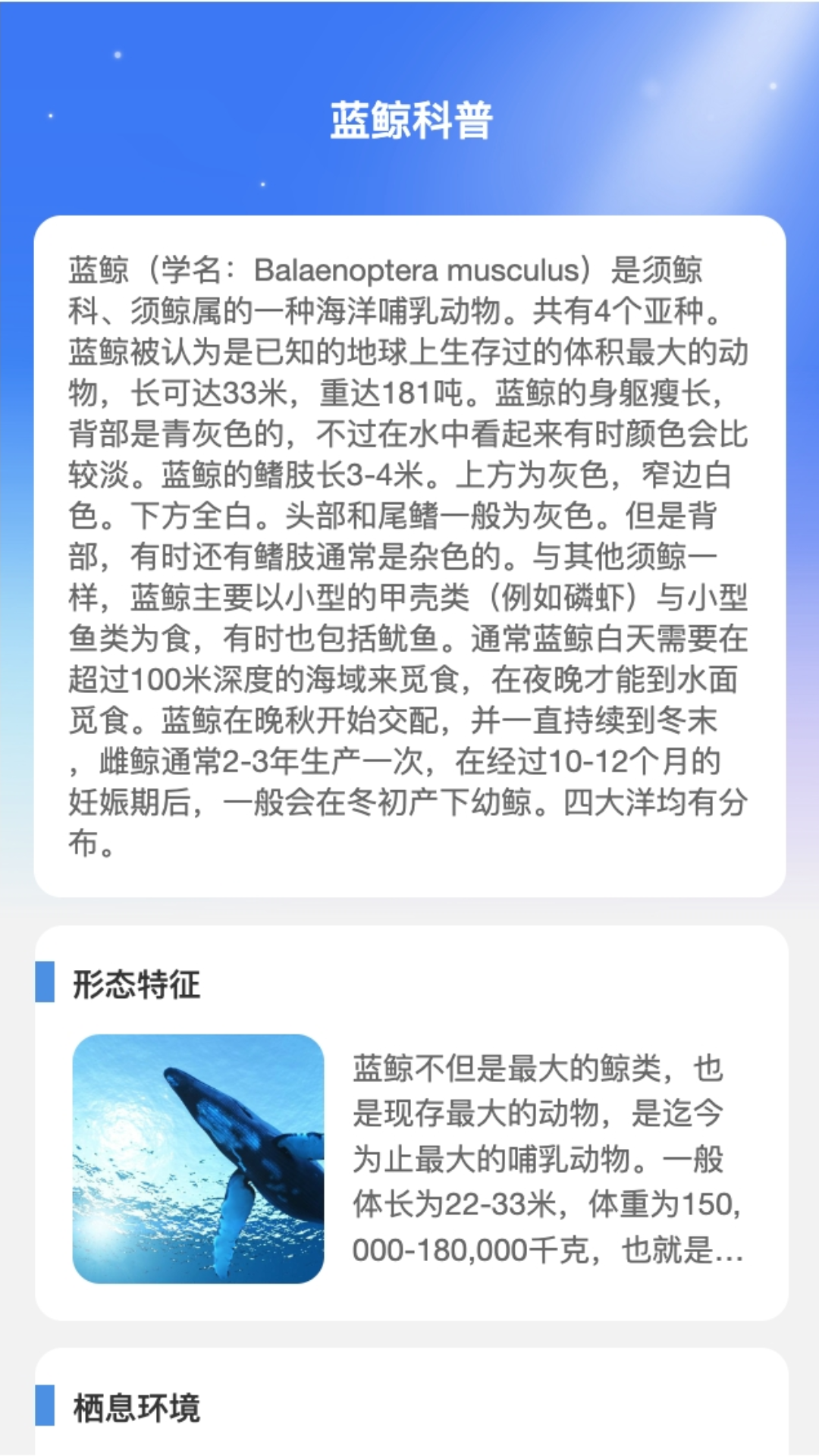 蓝鲸wifi_截图4
