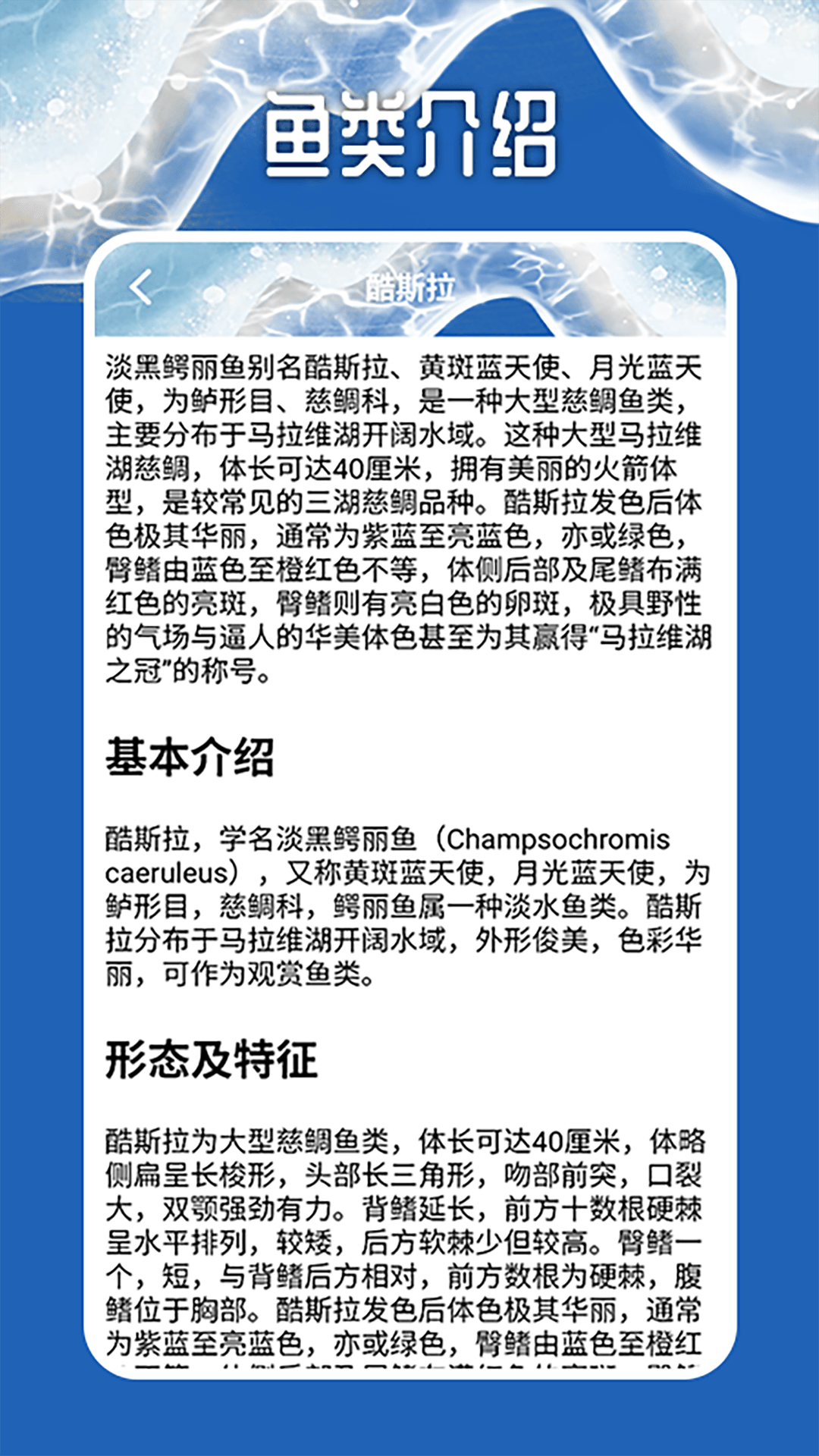 天天钓鱼大师_截图4