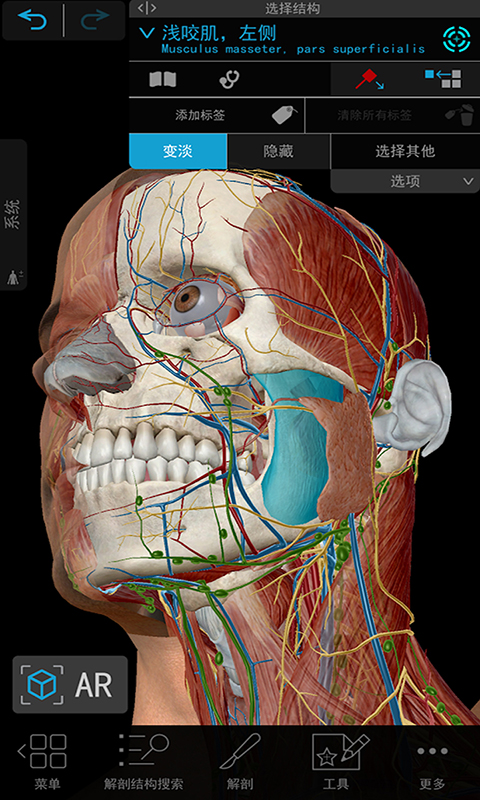 3d人体解剖_截图1