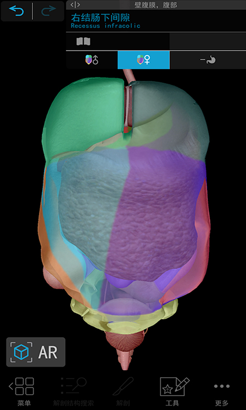 3d人体解剖_截图5