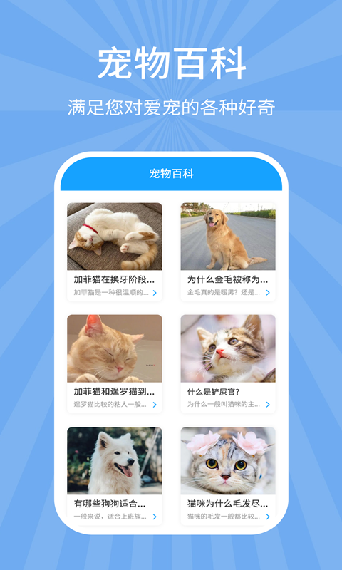 狗猫翻译器_截图3