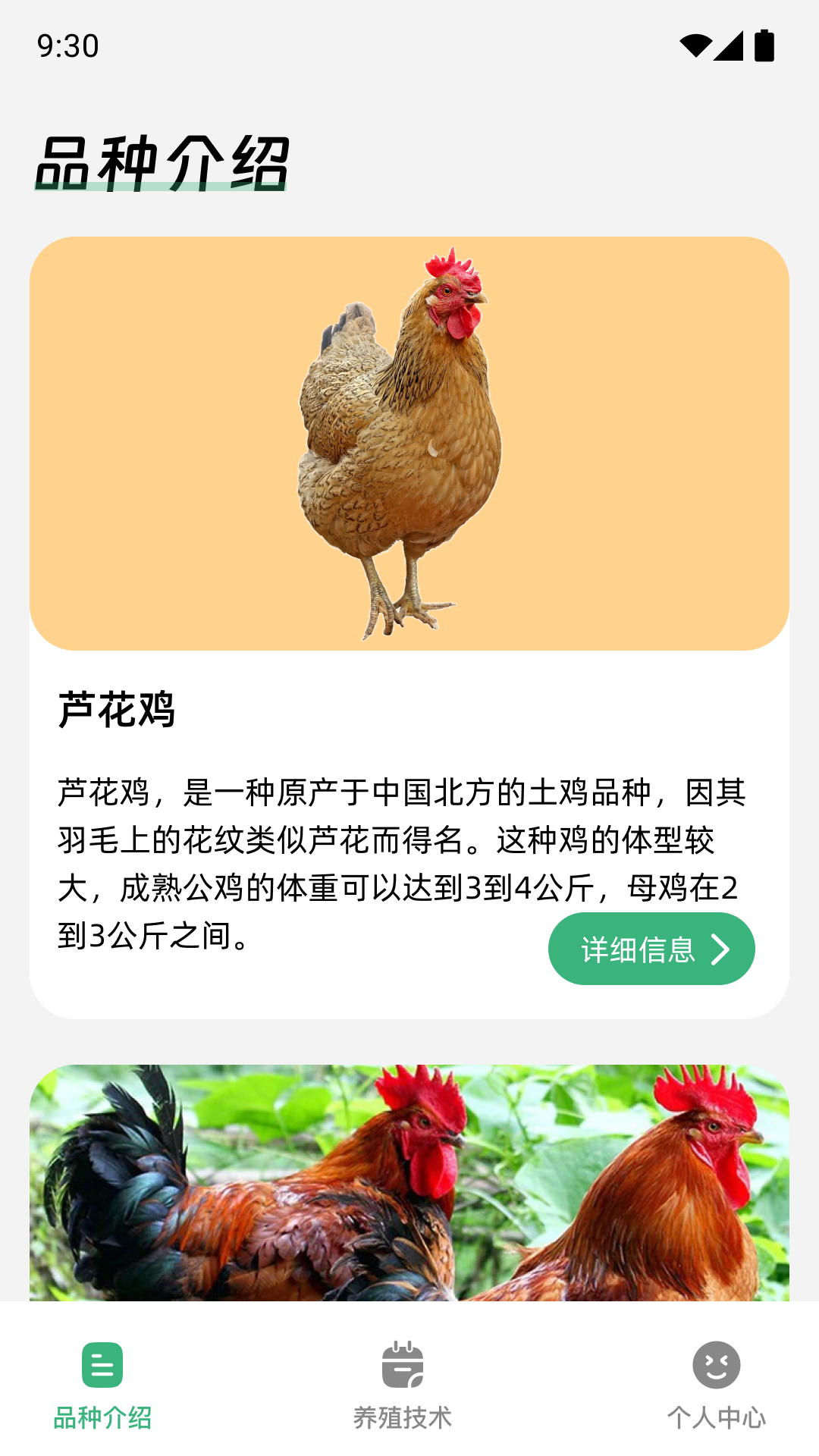 鸡祥如意