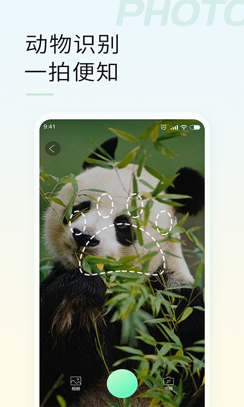 智能拍照识物_截图3