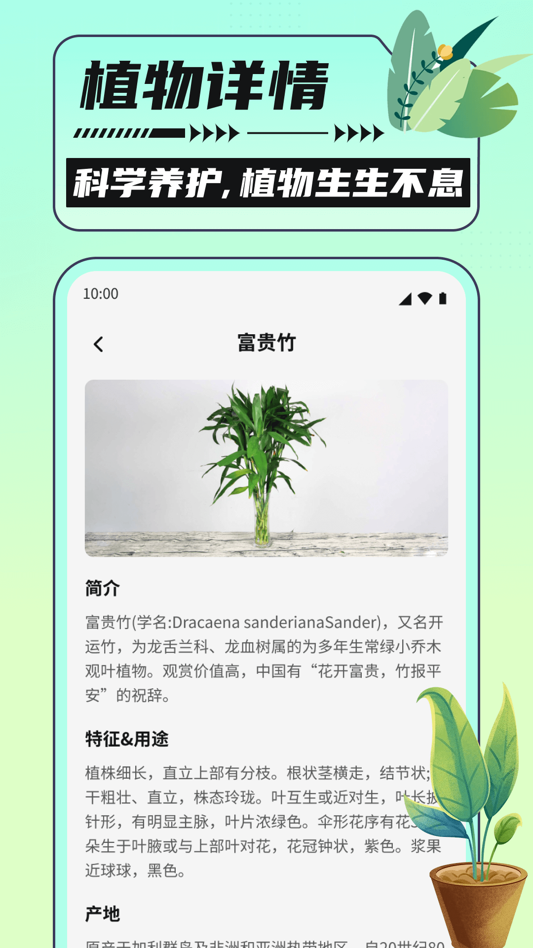 银杏助手大字版_截图3