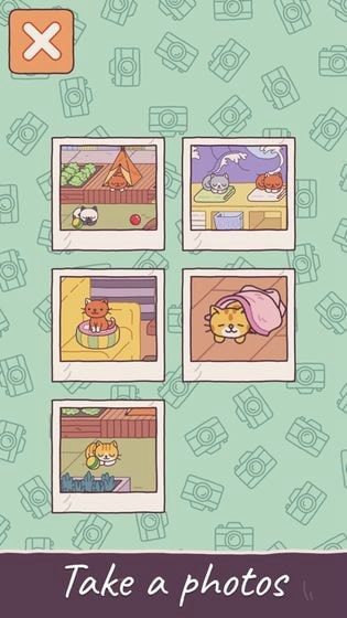 猫屋_截图4