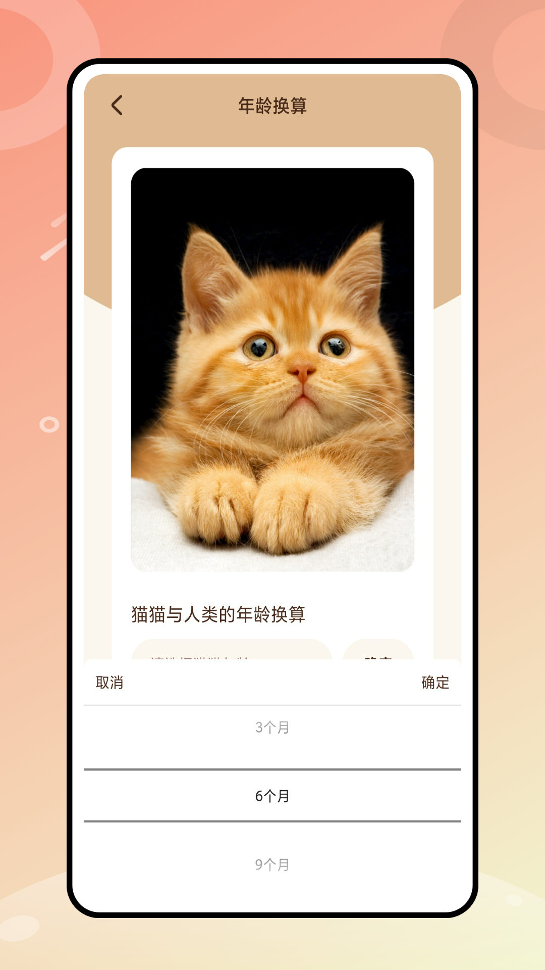 逗猫神器_截图3