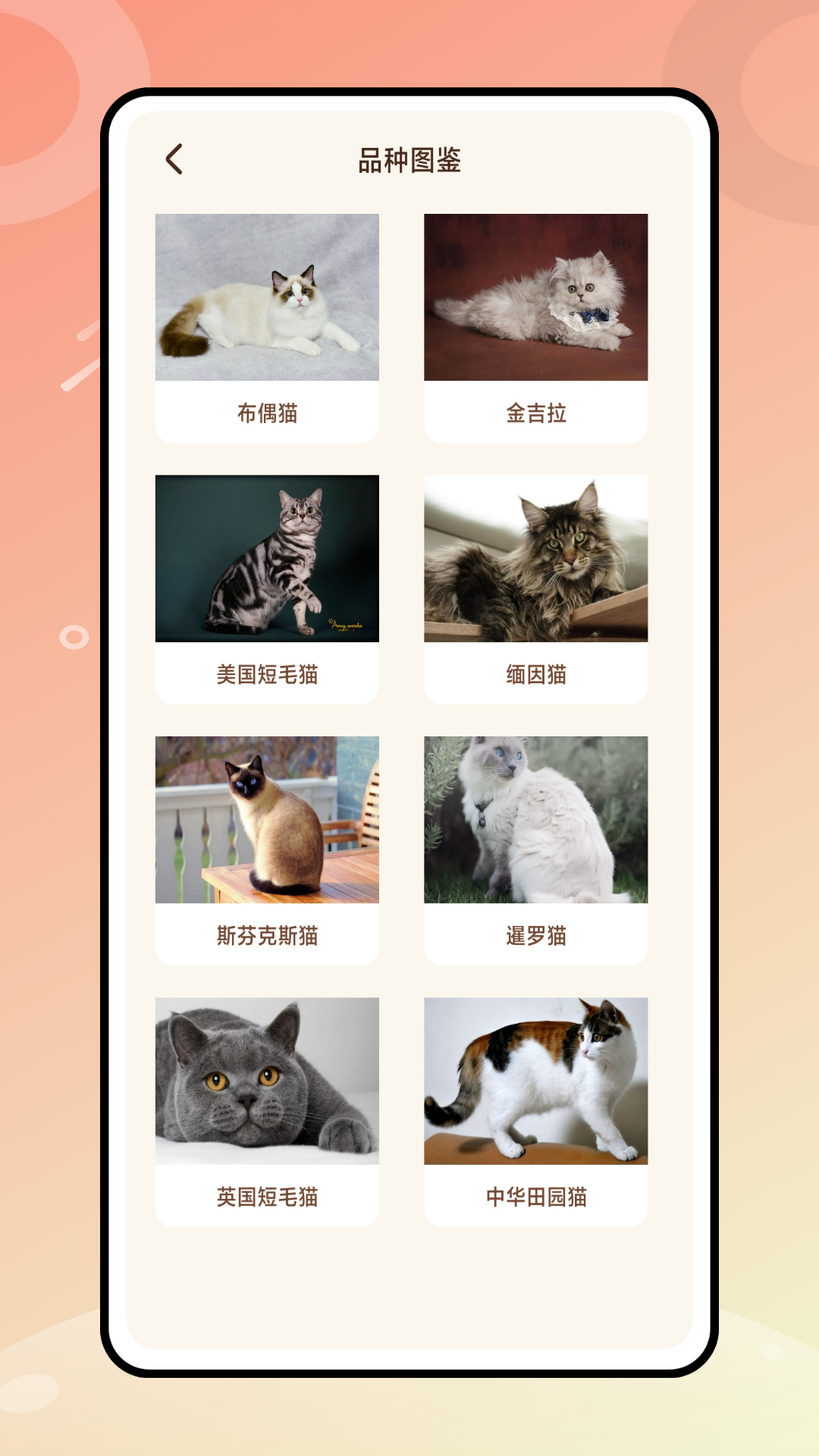 逗猫神器_截图4