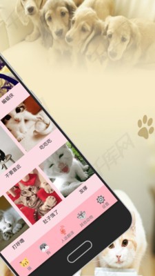 猫语翻译_截图2