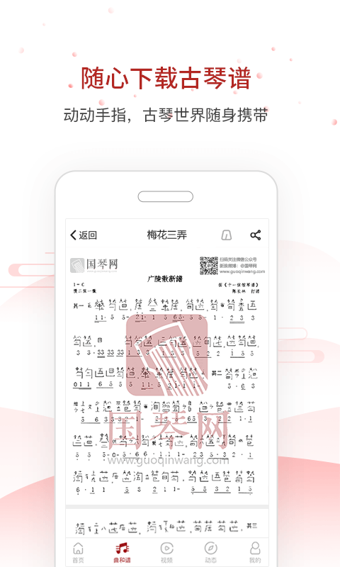 国琴网_截图1