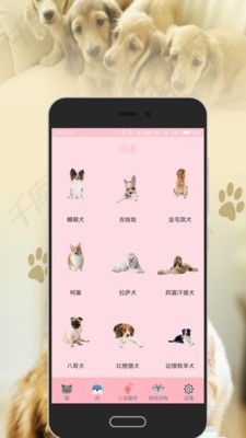 猫语翻译_截图3