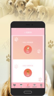 猫语翻译_截图4