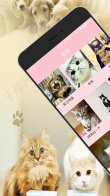 猫语翻译_截图1