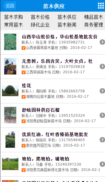 苗木网_截图2