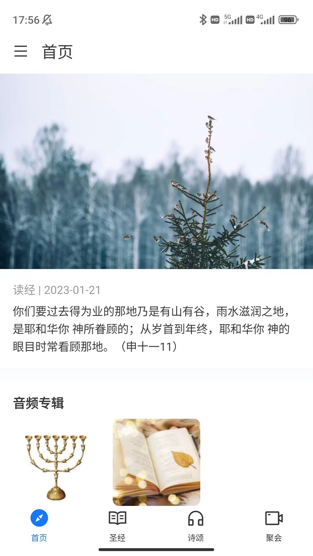 金灯台_截图1