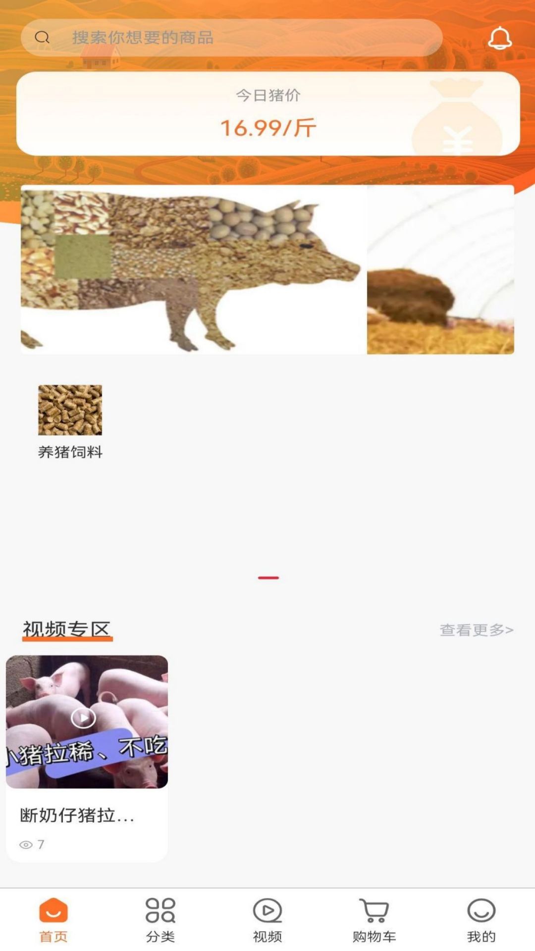 养猪一加一_截图2