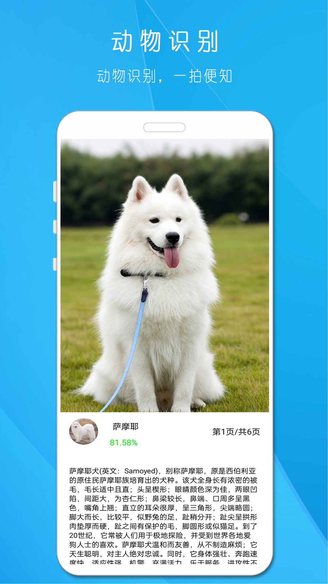 拍照识万物_截图3